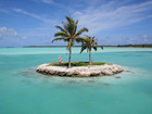 ilot bora